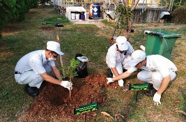 植樹の様子