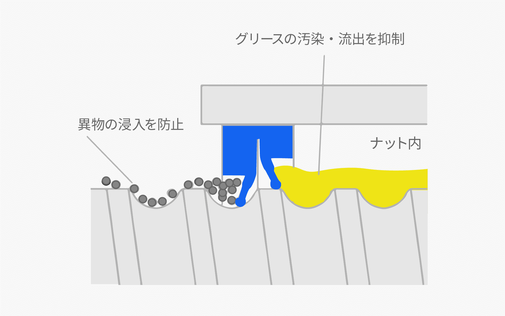 X1シールは、シール先端のリップ部をナットの外側に傾けた防塵シールと、ナットの内側に傾けた密封シールの 2 枚のシールから構成されている。