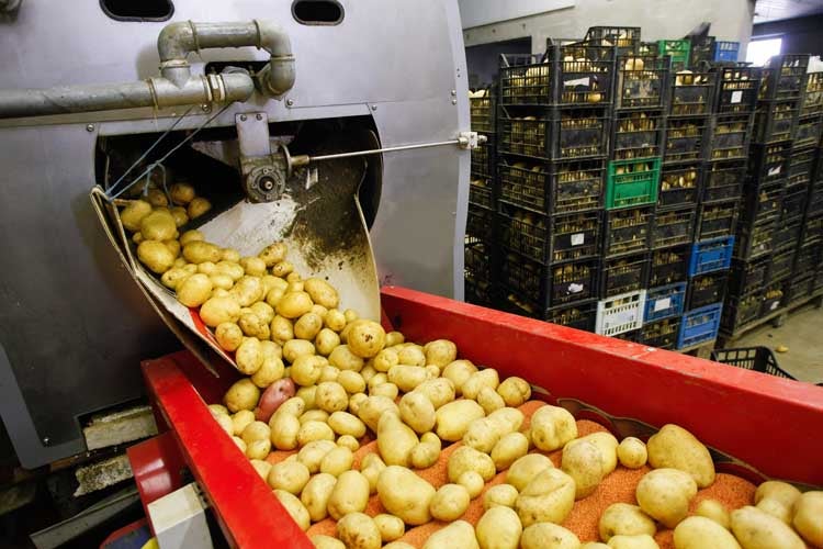 1)	En las lavadoras de tambor para verduras, los rodamientos se sumergen en agua en cada rotación del tambor