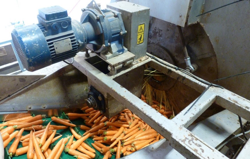 Food - Beverage, carrot washer