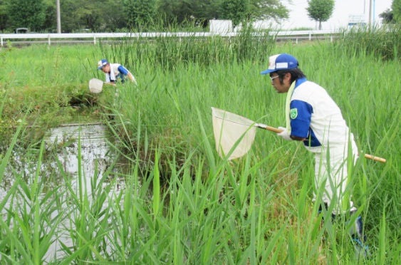 国指定天然記念物「宝蔵寺沼ムジナモ自生地」の保護活動の様子