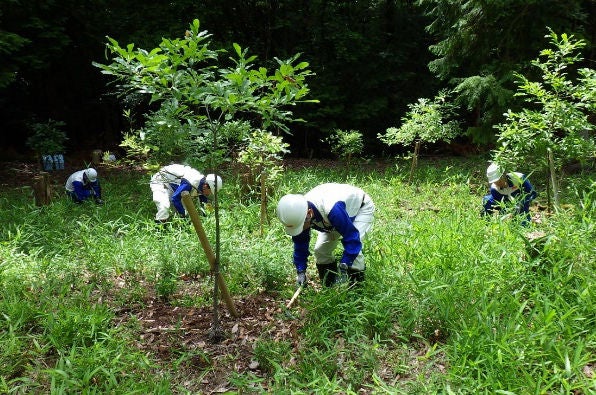 植樹した樹木周辺の雑草等の駆除の様子